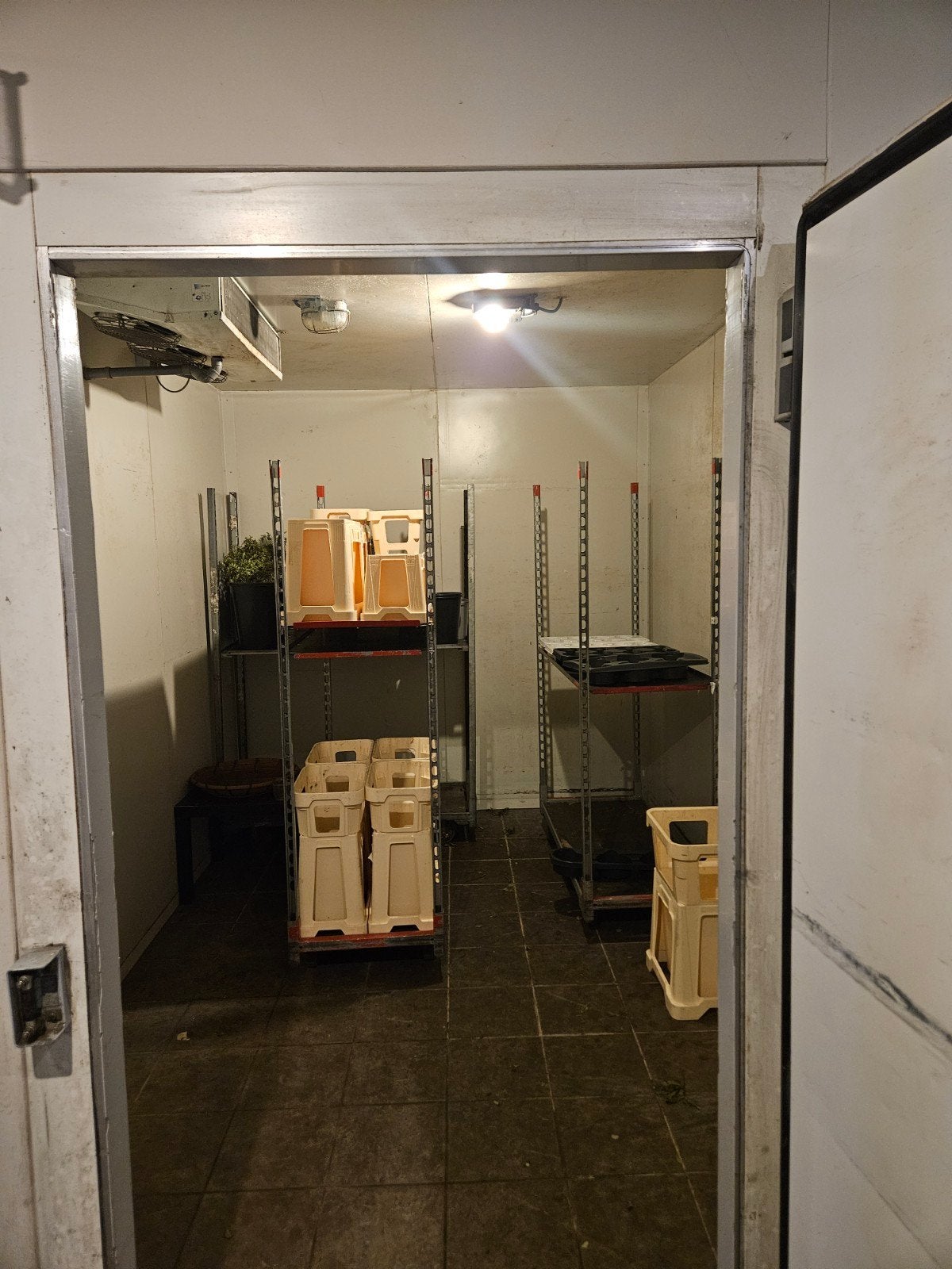 Professionele Koelcel - Grote Inhoud, Ophalen