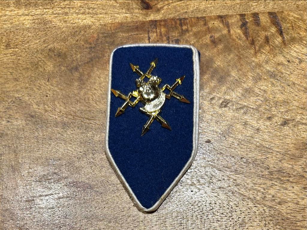Kraagspiegel Regiment Verbindingstroepen Koninklijke Landmac, Verzamelen, Militaria | Algemeen, Ophalen of Verzenden, Landmacht