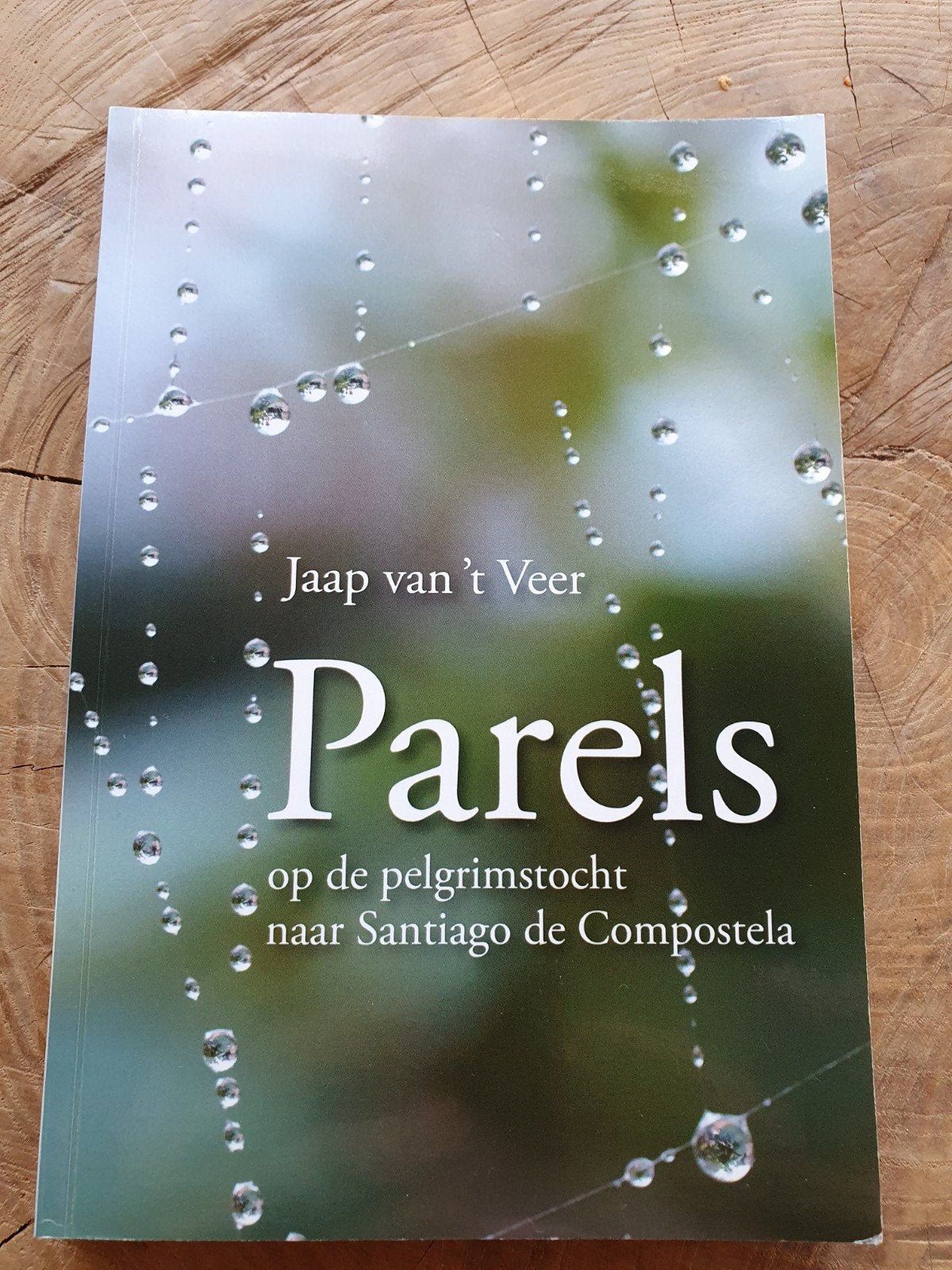 Parels op de pelgrimstocht naar Santiago de Compostela, Boeken, Achtergrond en Informatie, Spiritualiteit algemeen, Ophalen of Verzenden