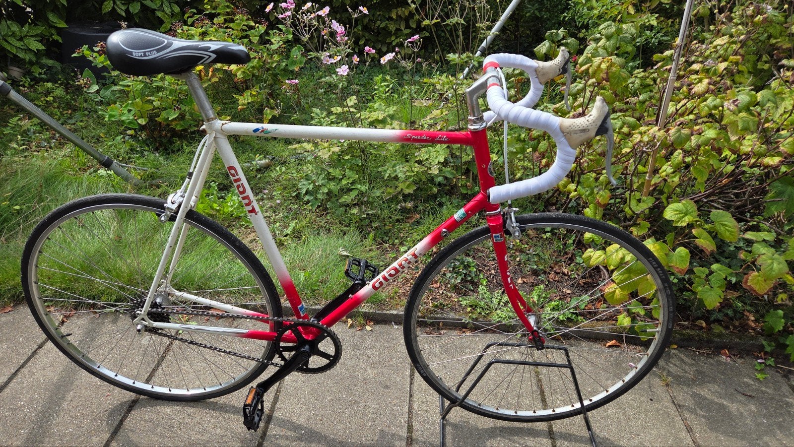 Singlespeed Giant - nieuwe crank pedalen etc. grotere maat, Ophalen, Gebruikt, Staal, Giant