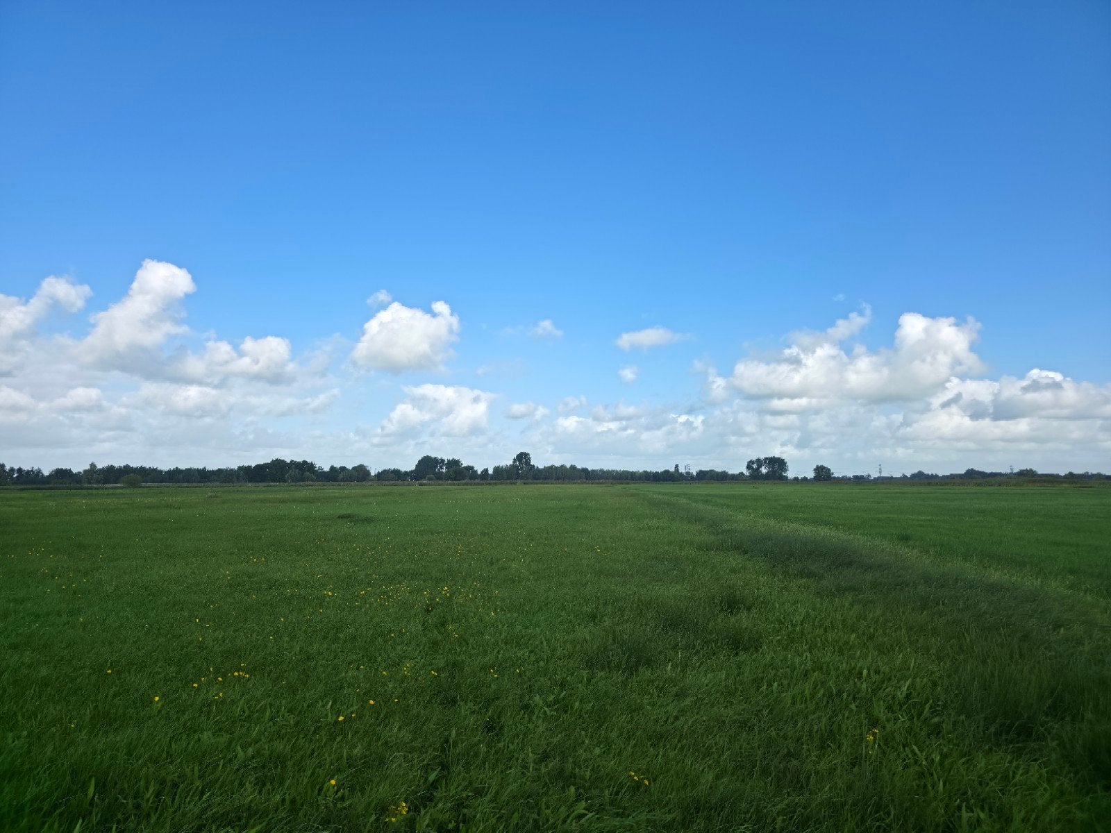 Vierkante balen 3e snede kuil / voordroog, Ophalen of Verzenden