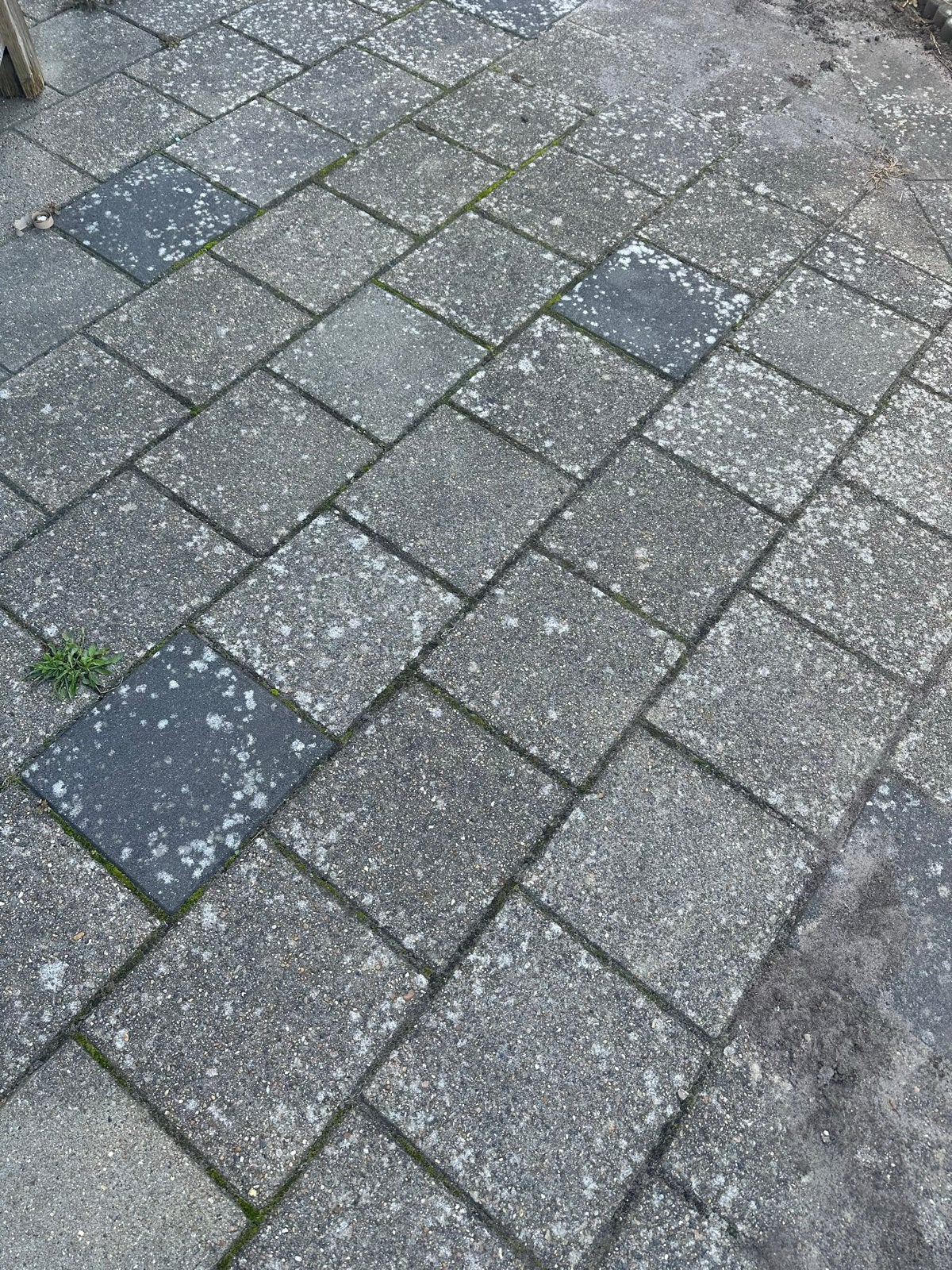 25m2 stoeptegels gratis af te halen, Gebruikt, Ophalen of Verzenden, 10 m² of meer, Beton