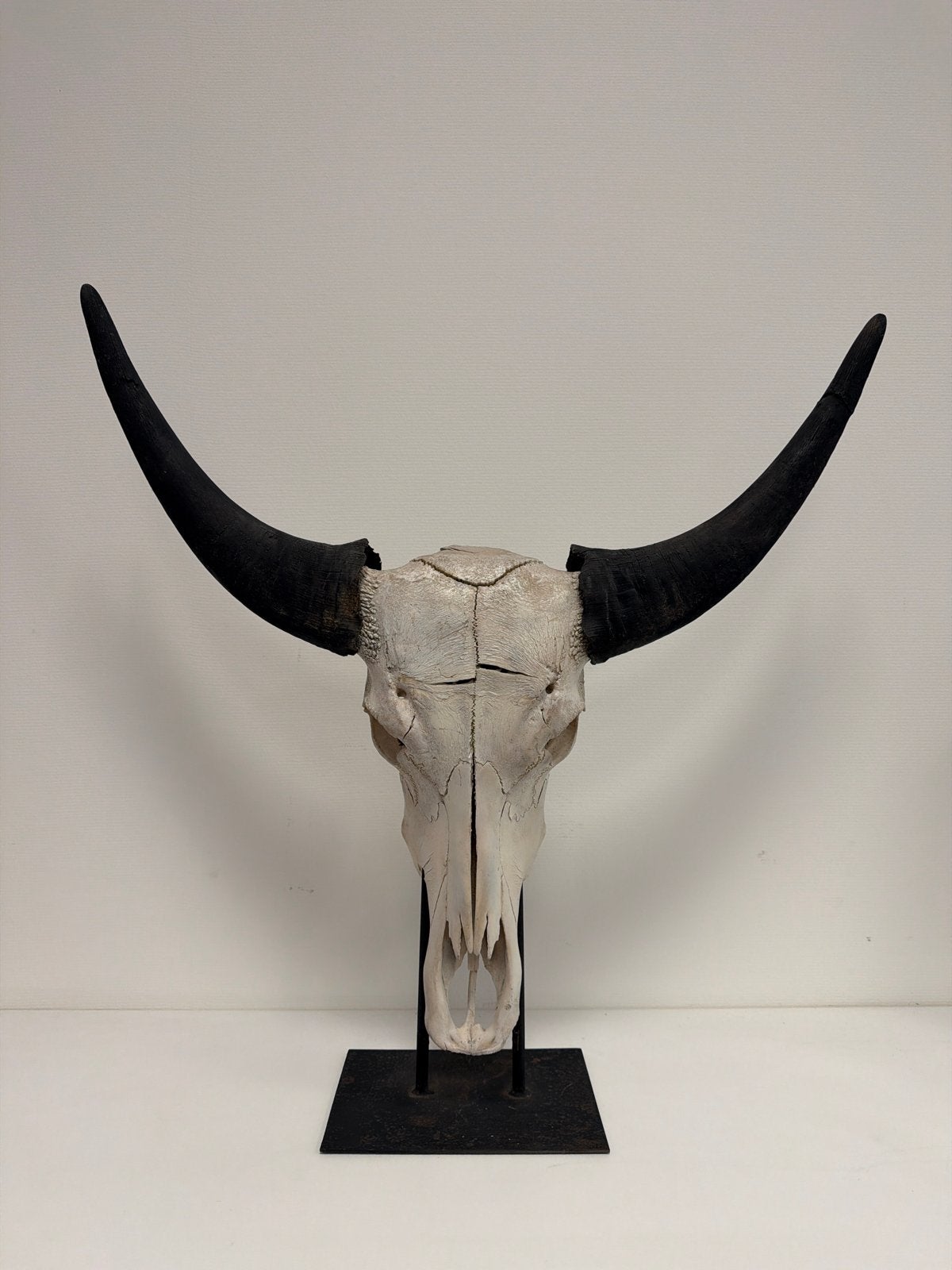 Decoratieve buffelschedel met hoorns op standaard, Ophalen of Verzenden