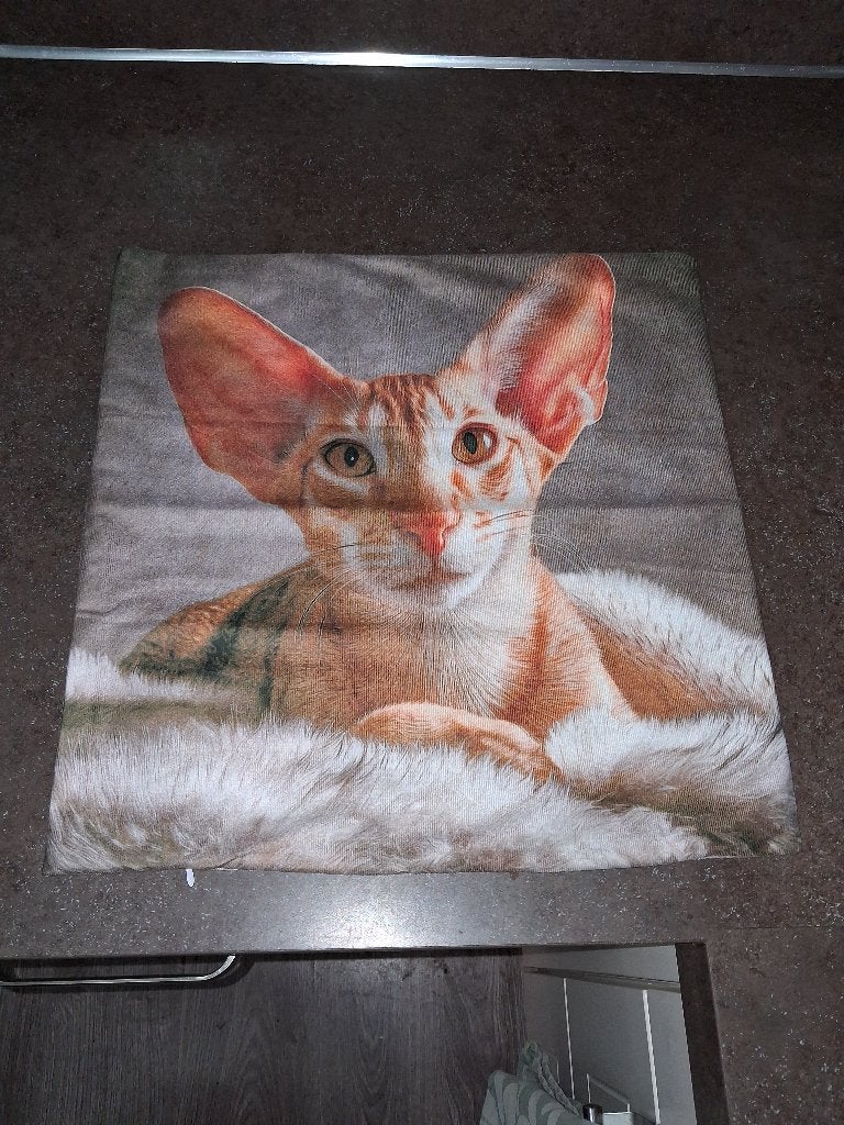 Kussenhoes rode oosters korthaar kat nieuw, Huis en Inrichting, Woonaccessoires | Kussens, Ophalen of Verzenden, Nieuw, Rood, Vierkant