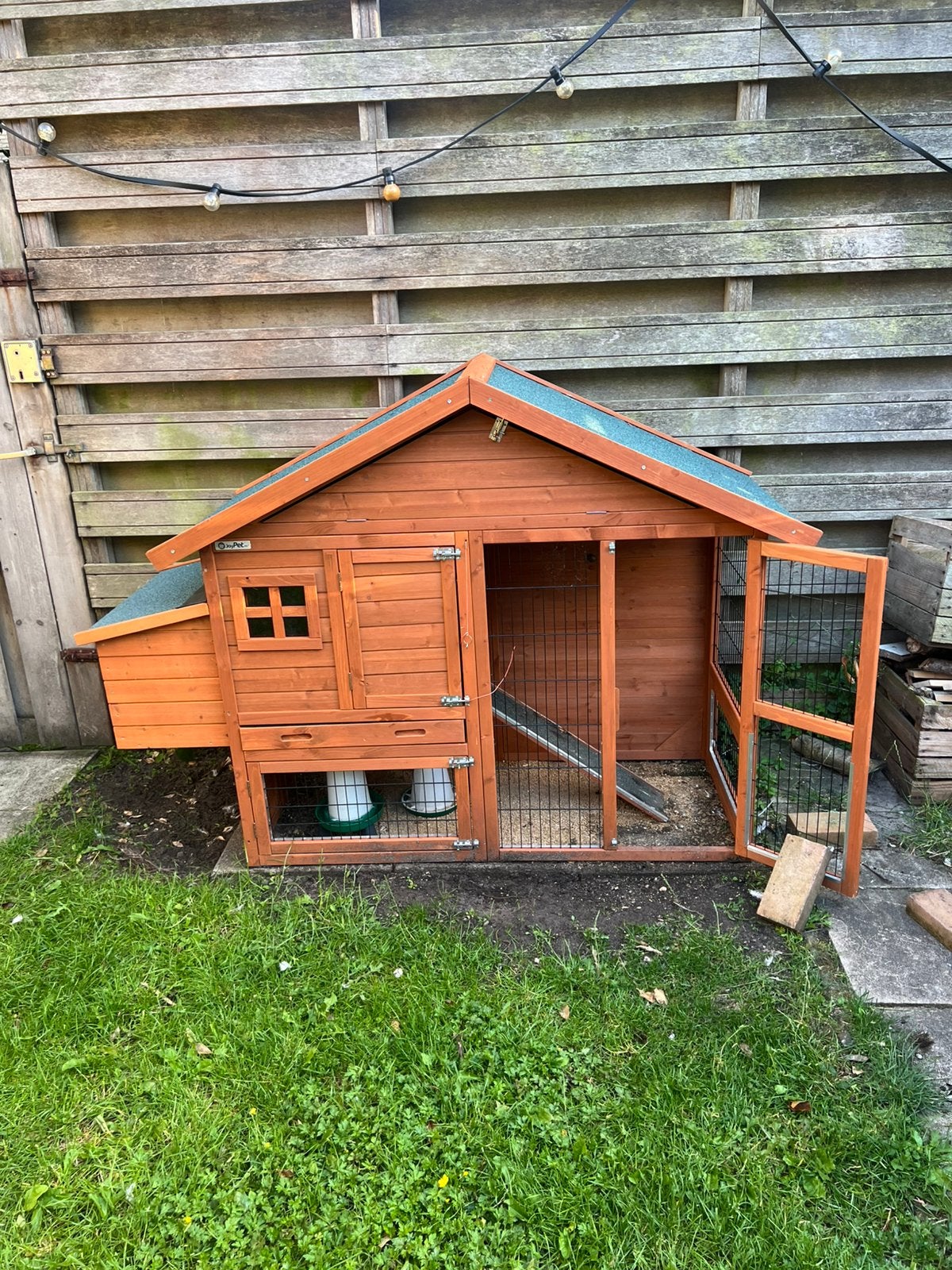 3 lieve Cochinkriel hennen en een nieuw kippenhok, Dieren en Toebehoren, Ophalen, Zo goed als nieuw, Kippenhok of Kippenren