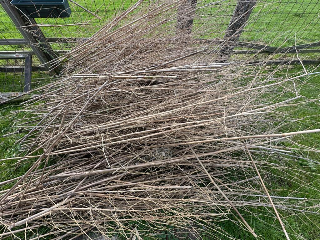 Bamboestokken, Tuin en Terras, Palen, Balken en Planken, Ophalen