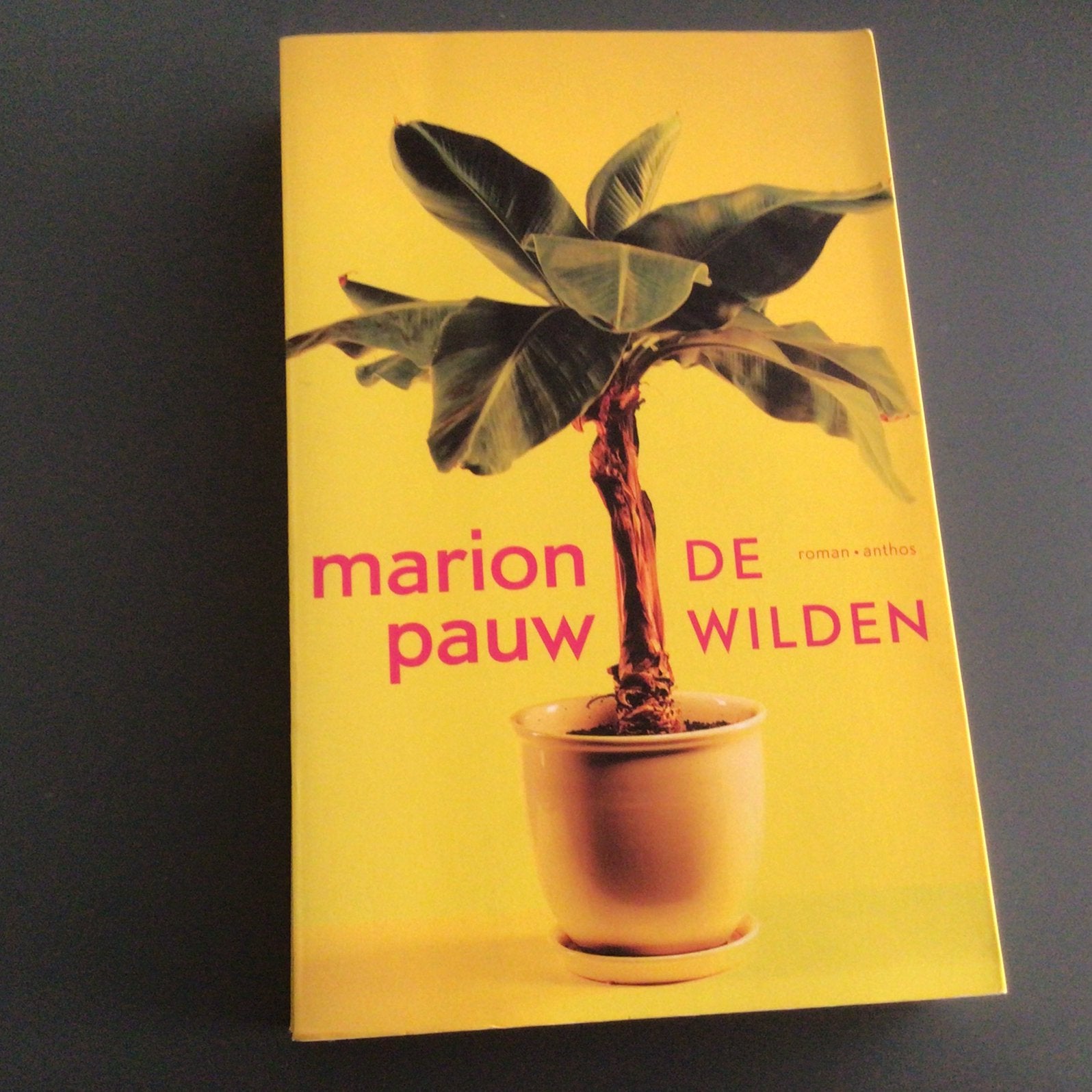Marion Pauw - De wilden, Marion Pauw, Ophalen of Verzenden, Zo goed als nieuw, Nederland