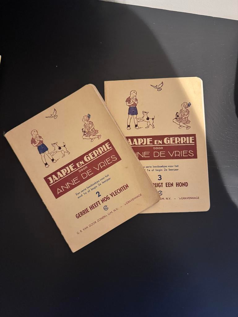 Jaap en Gerrie kinderboeken (2x) - Anne de Vries, Ophalen of Verzenden, Gelezen, Fictie algemeen