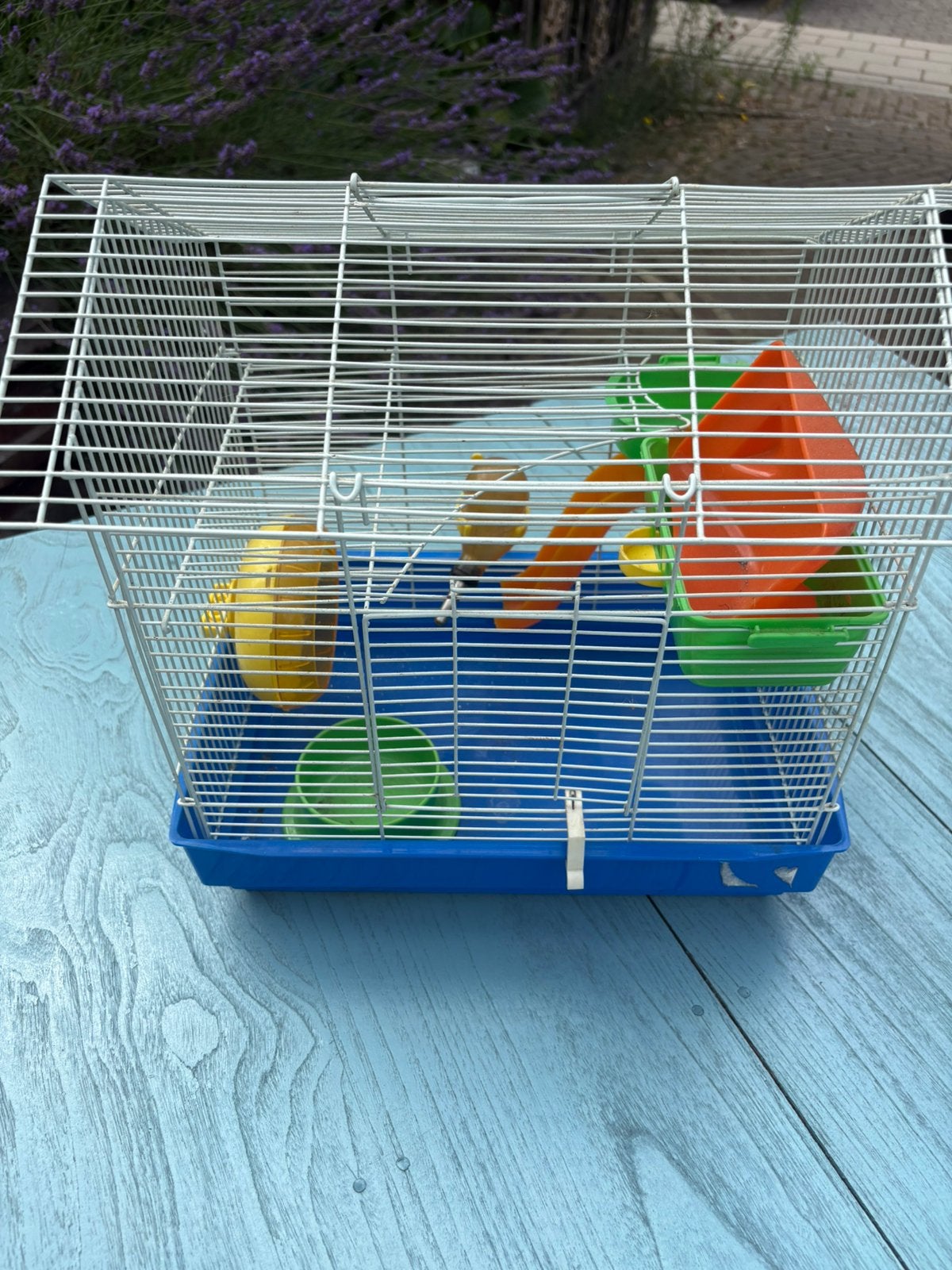 Knaagdieren kooi in giede staat, met toebehoren, Ophalen, Kooi, 60 tot 90 cm, Minder dan 75 cm