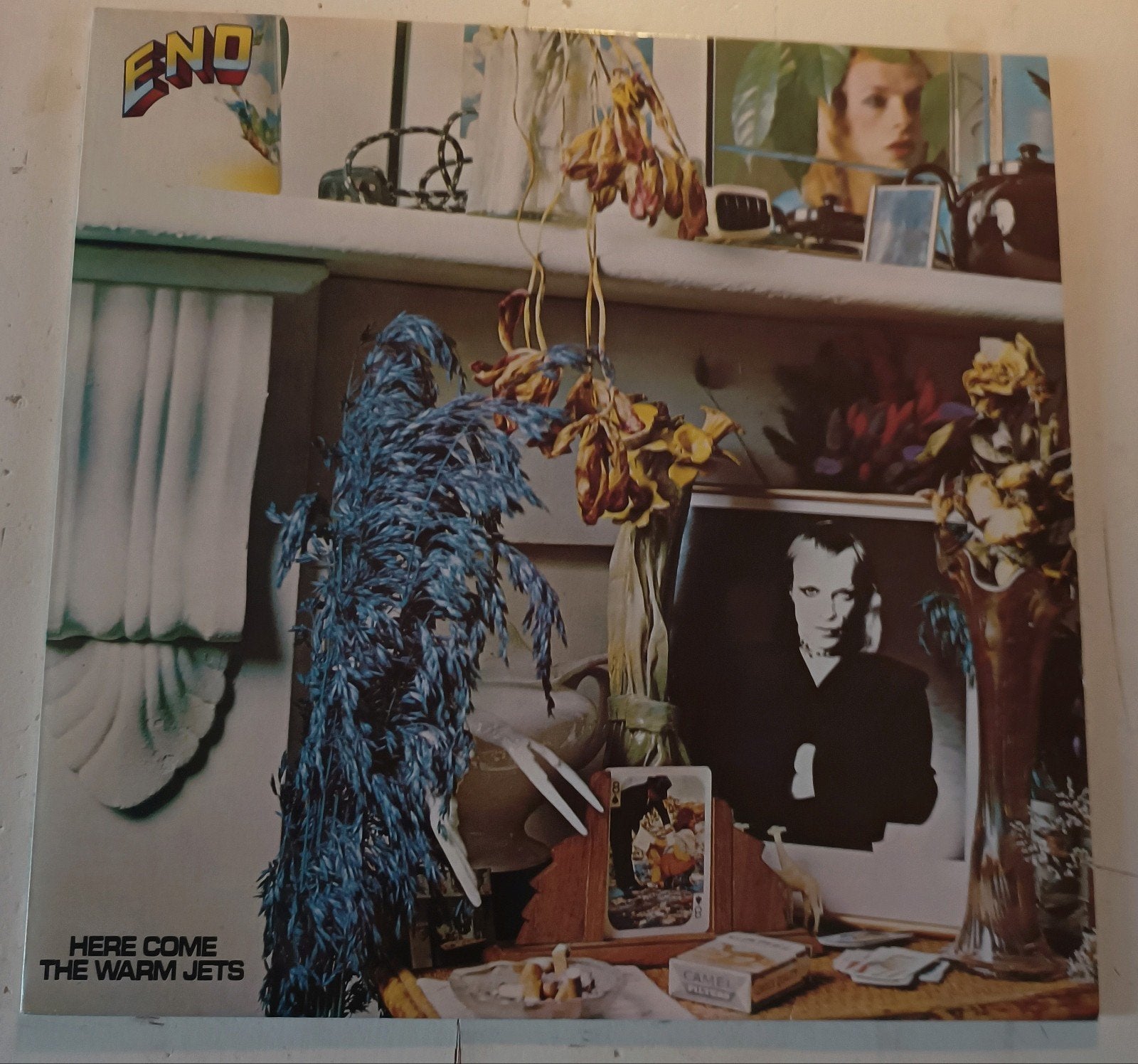 Brian Eno - Here Come The Warm Jets LP, LP, Verzenden, 12 inch, Progressive Rock