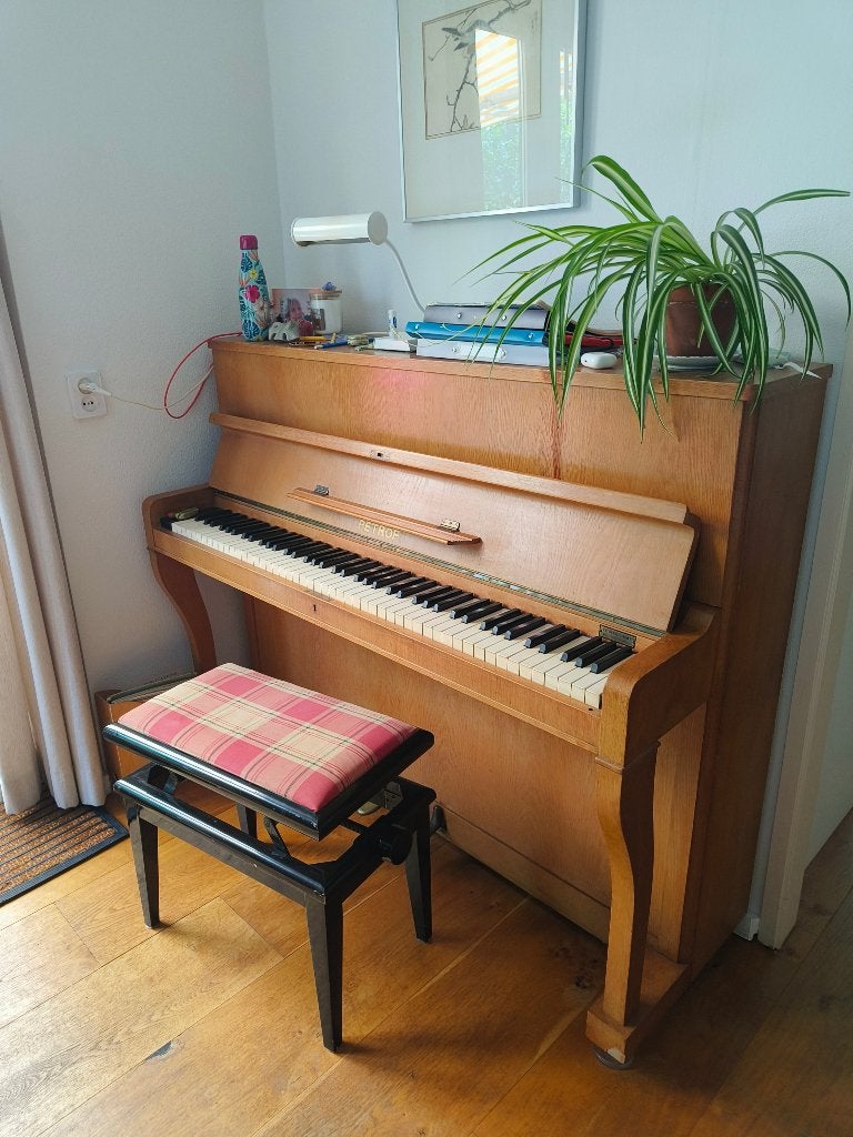 Foto 2 van Piano merk Petrof