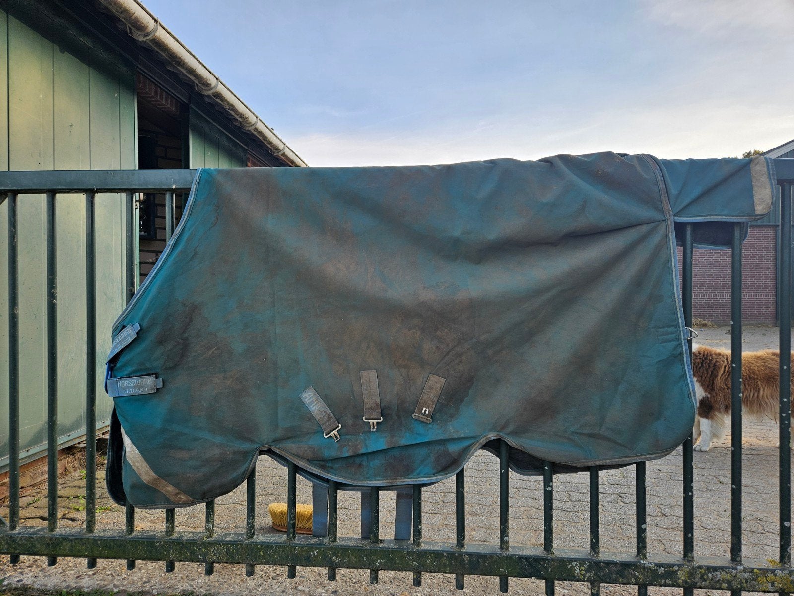 horseware amigo bravo 100 grams 125/175(5.9), Dieren en Toebehoren, 100 g, Gebruikt, Ophalen of Verzenden, Amigo
