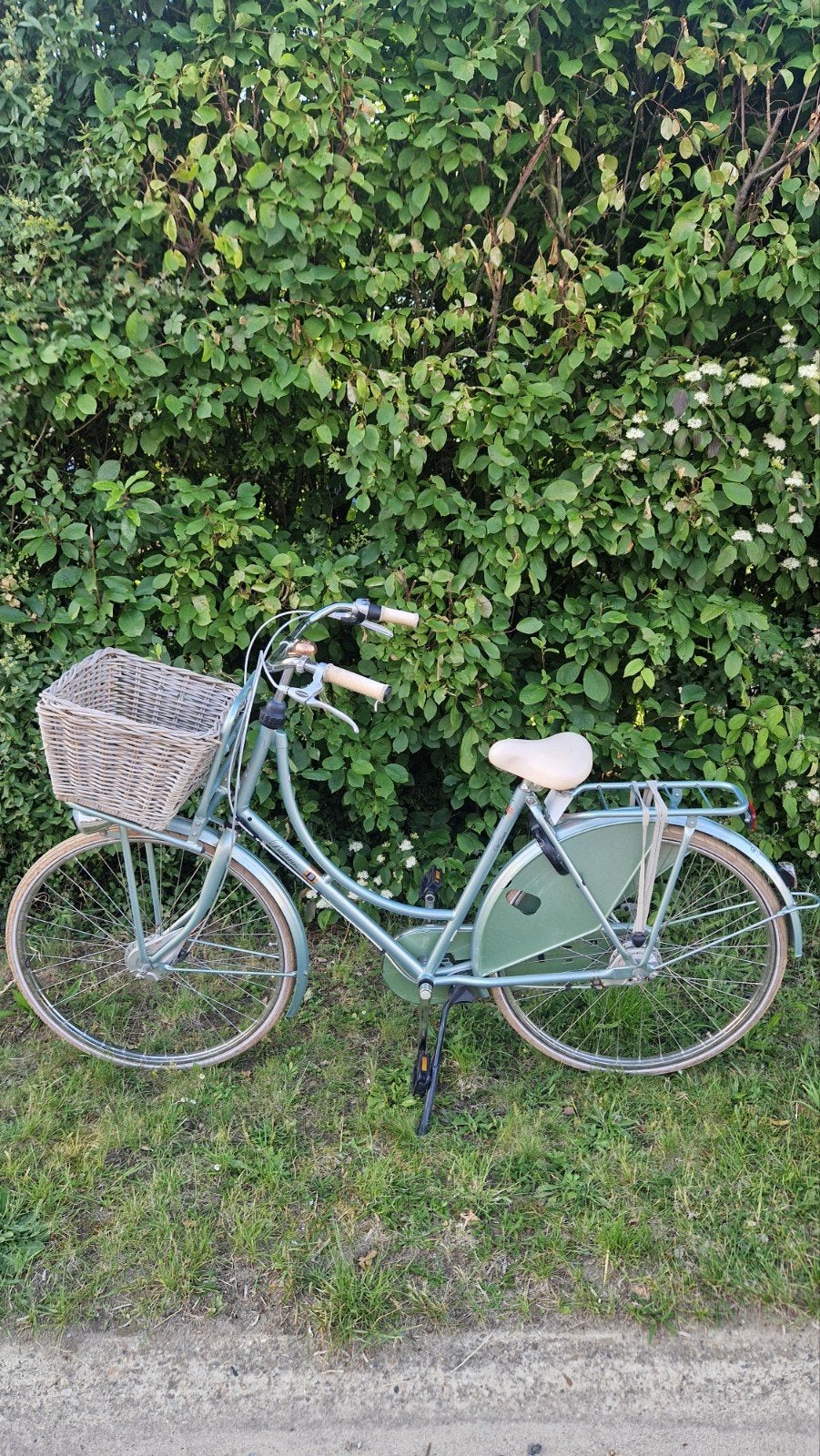 Damesfiets Batavus Old Dutch 28 inch, 3 versnelligen, 56 cm of meer, Ophalen