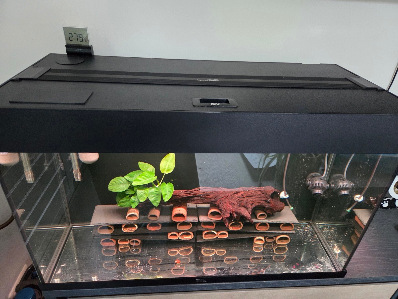 juwel rio 125L met chihiros en oase biomaster, Dieren en Toebehoren, Ophalen, Zo goed als nieuw, Leeg aquarium