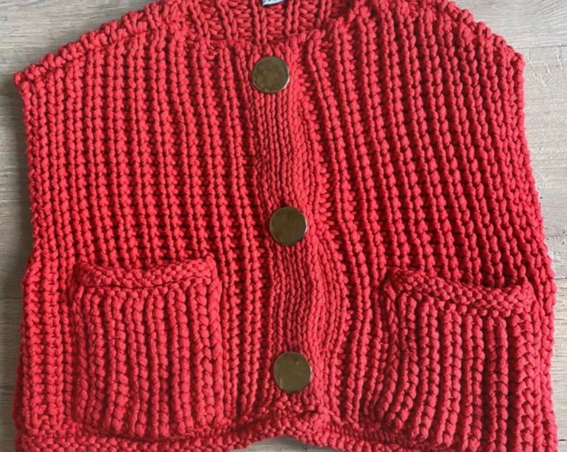 Kort truitje / hesje Zara maat S, Kleding | Dames, Truien en Vesten, Ophalen of Verzenden, Zo goed als nieuw, Maat 38/40 (M)