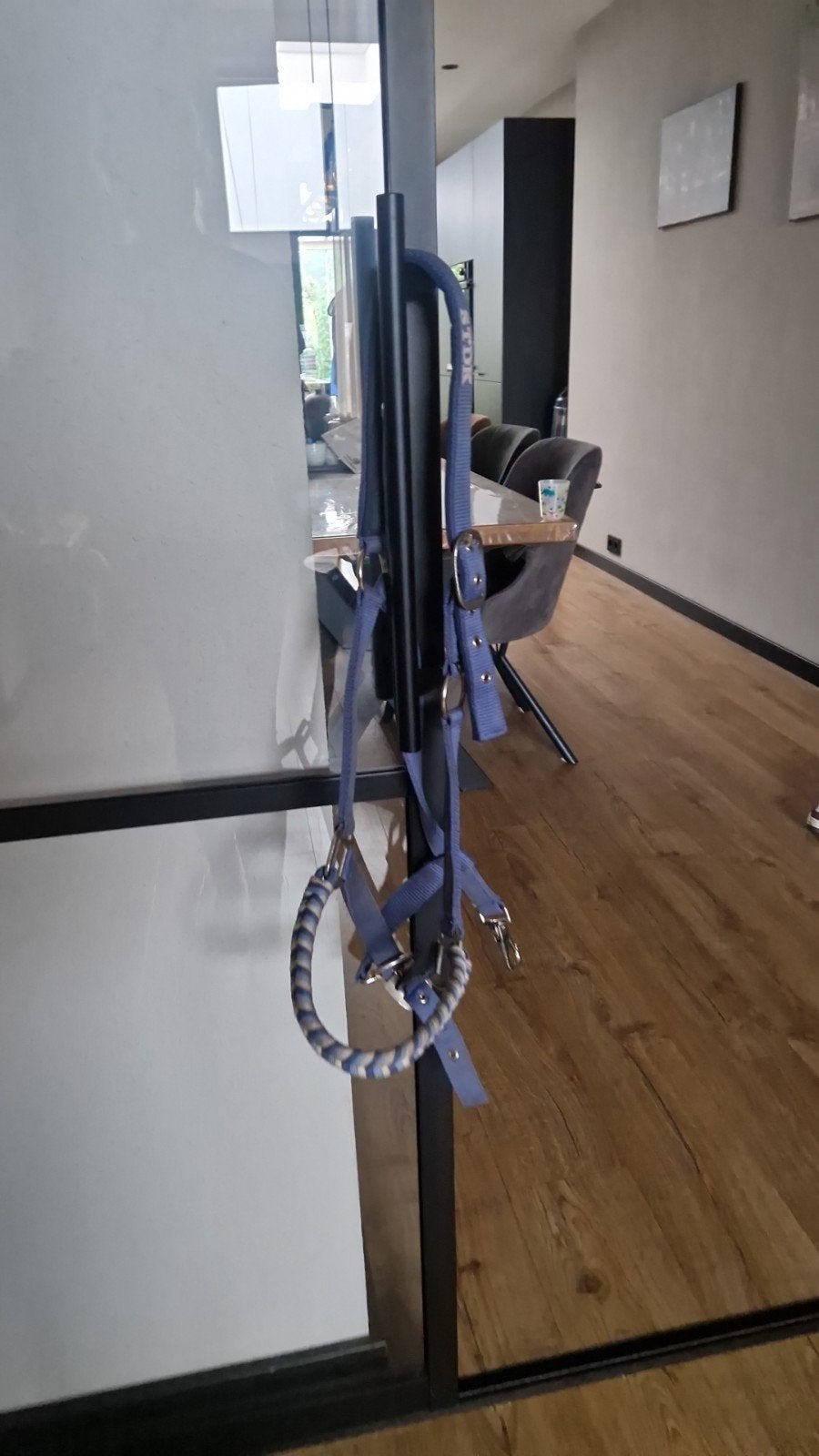 halster blauw, Ophalen, Zo goed als nieuw, Blauw, Halster