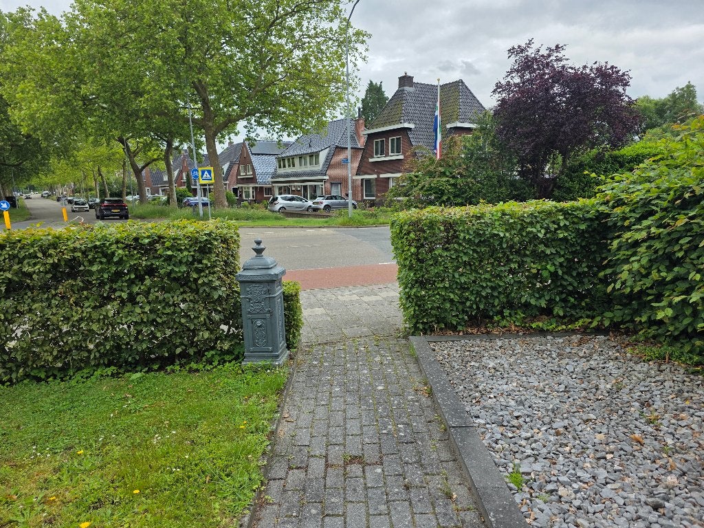 Beukenhaag GRATIS, Ophalen of Verzenden, Beukenhaag, Haag, 100 tot 250 cm