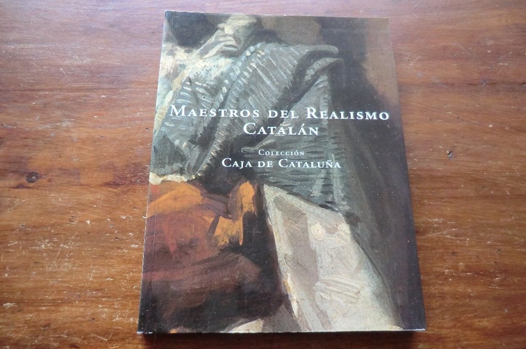 boek - Maestro del Realismo Catalan - Caja de Cataluna, Ophalen of Verzenden, Gelezen, Schilder- en Tekenkunst