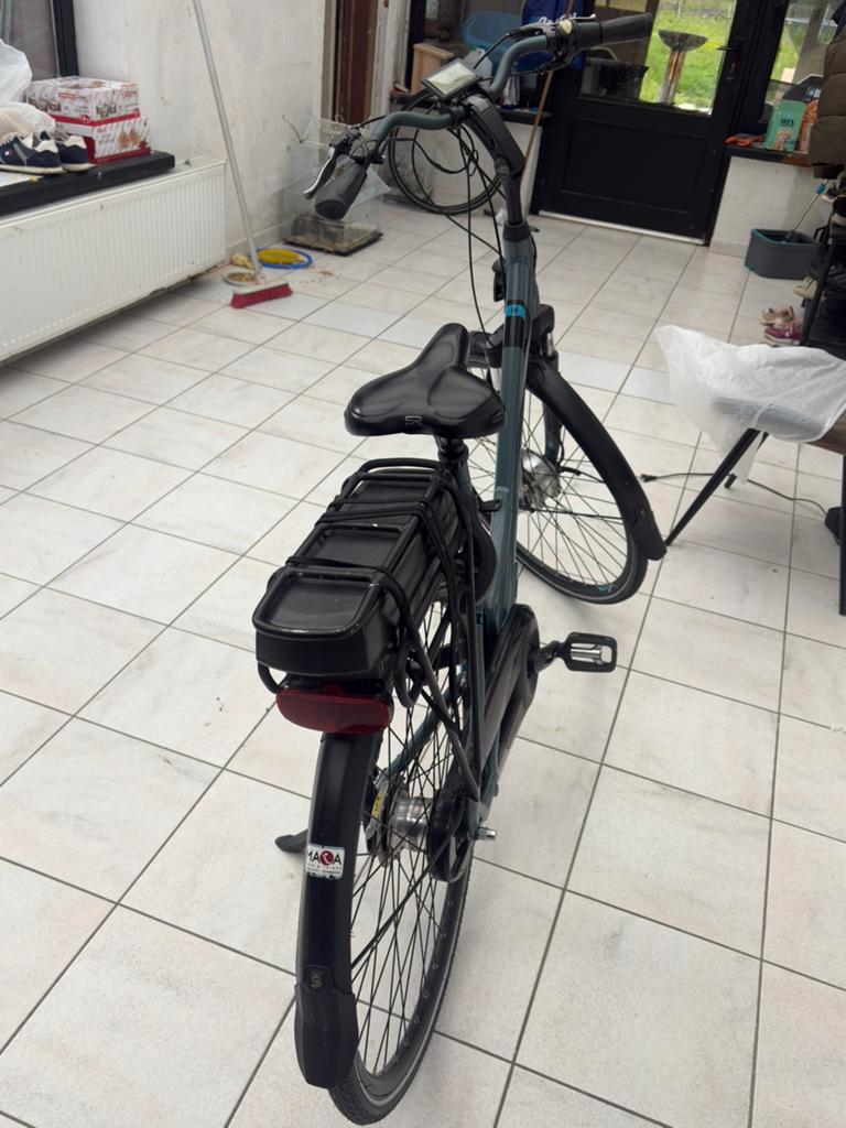 Giant Ease, Fietsen en Brommers, Elektrische fietsen, Ophalen, Zo goed als nieuw, Overige merken
