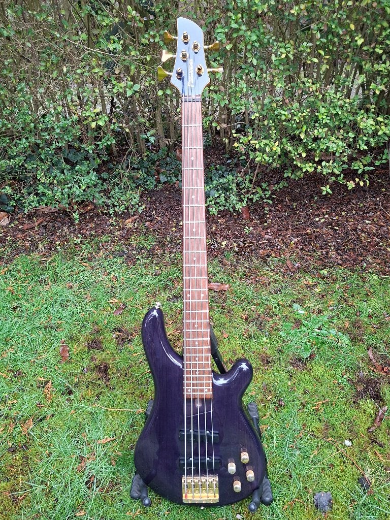 Fernandes APB-100 STP/R, 5-snarige basgitaar. I.z.g.st., Ophalen, Gebruikt, Elektrisch, 5-snarig