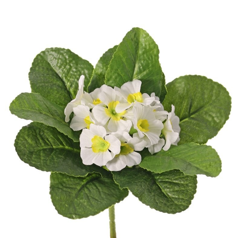 SLEUTELBLOEM KUNST (PRIMULA) 2 KLEUREN - TOP ART, Ophalen of Verzenden, Nieuw