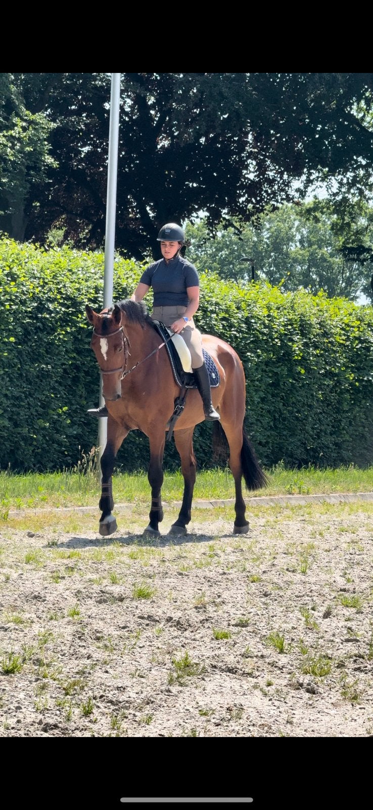 Zadelmak maken, door trainen, verkoop en instructie!, Diensten en Vakmensen, Dieren | Paarden | Verzorging, Oppas en Les, Ruiter of Bijrijder
