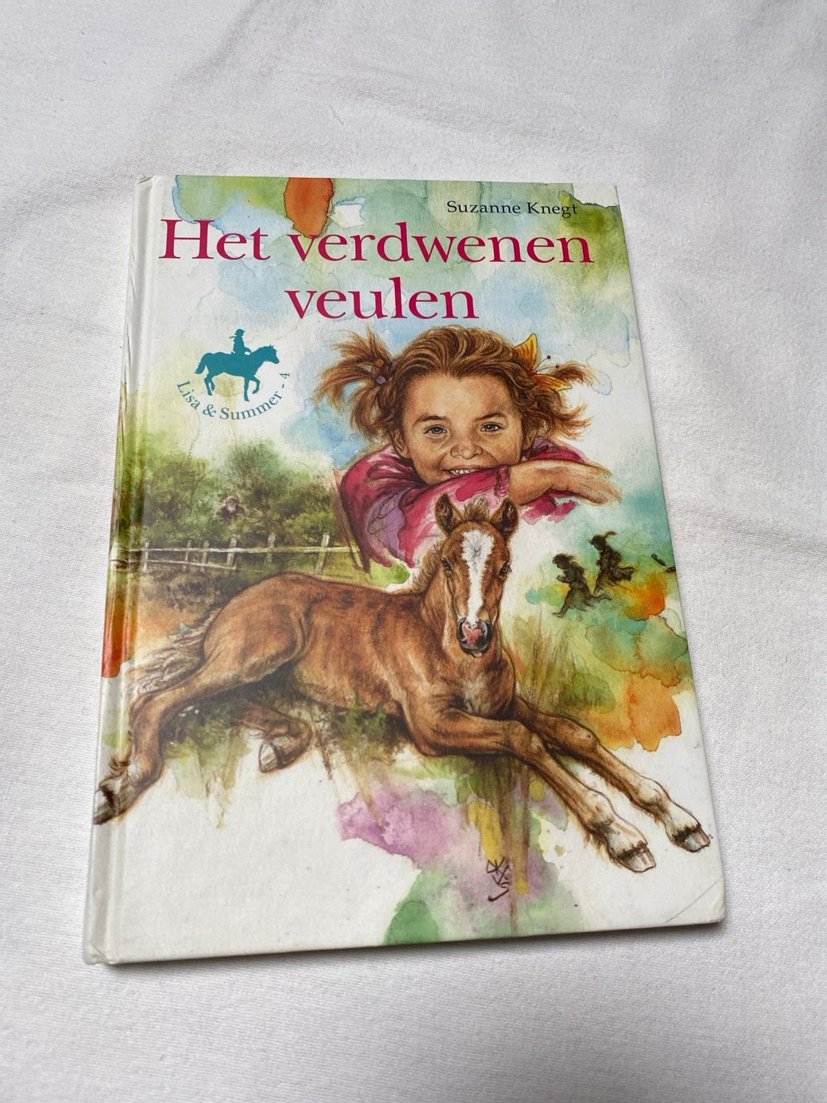 Het verdwenen veulen - Lisa & Summer, Boeken, Ophalen, Gelezen, Fictie algemeen