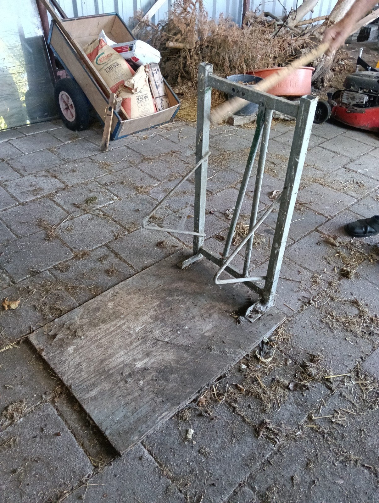 over wenbok schapen, Dieren en Toebehoren, Vrouwelijk, Schaap
