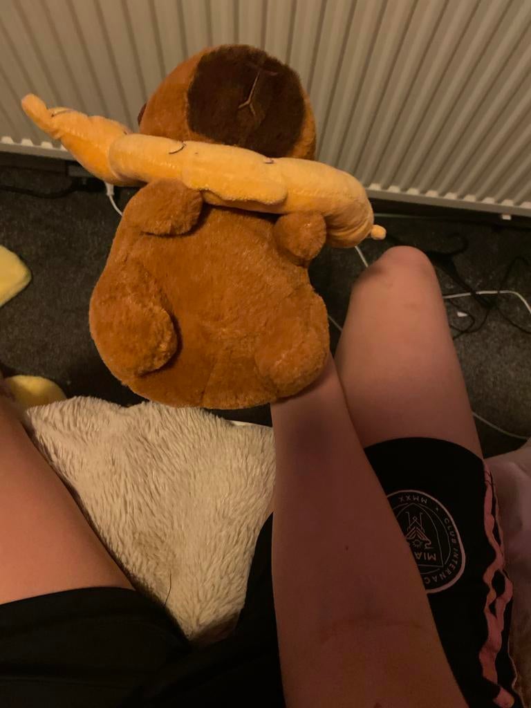 Leuke Capybara knuffel met afneembaar visje, Gebruikt, Overige typen, Ophalen of Verzenden, Met kleding of accessoire