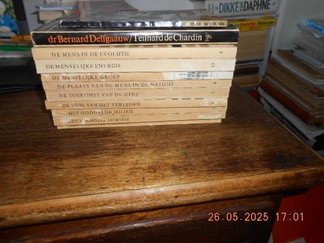 pierre teilhard de chardin, Boeken, Wetenschap, Zo goed als nieuw, Ophalen of Verzenden