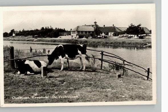 Oudleusen Kamphotel De vechtstroom + Koeien st 1956, Ophalen of Verzenden, 1940 tot 1960, Gelopen, Noord-Brabant