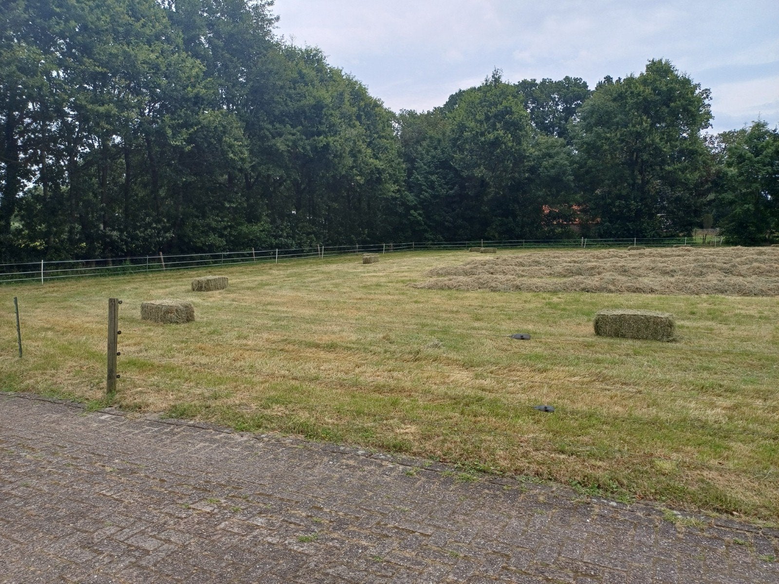 Hooi balen 100 stuks onkruidvrij grof paarden hooi, Dieren en Toebehoren