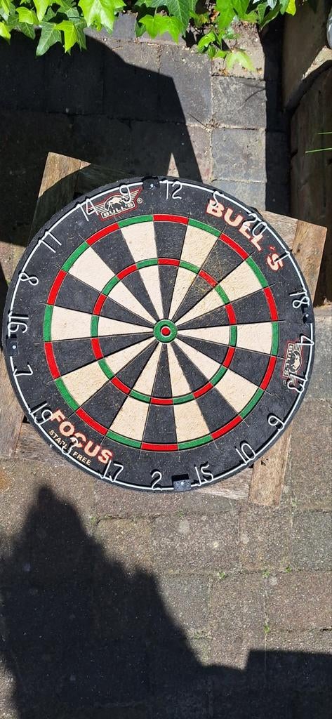 Bulls focus dartbord ,bieden., Ophalen of Verzenden, Dartbord