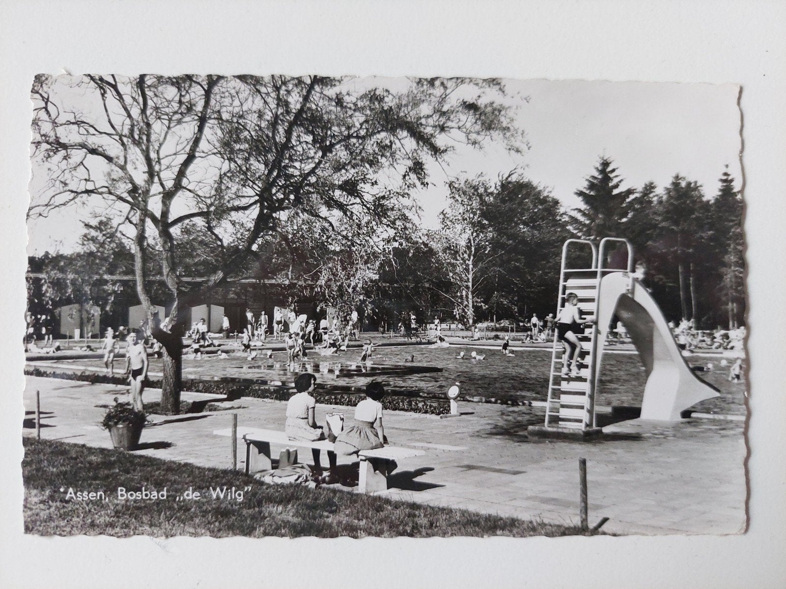 Foto Bosbad 'de Wilg' in Assen, Verzenden, 1980 tot heden, Foto, Zo goed als nieuw