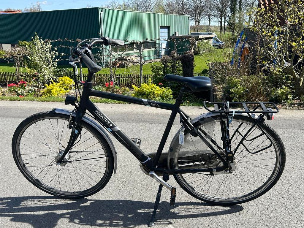 Lucca fiets - Pegasus stadsfiets, Ophalen, Gebruikt, 26 inch of meer, Versnellingen