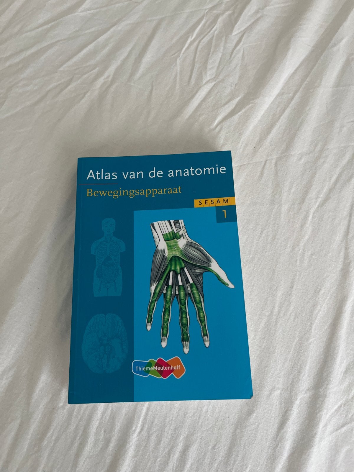 Atlas van de anatomie sesam bewegingsapparaat, Boeken, Studieboeken en Cursussen, Ophalen of Verzenden, Beta, Zo goed als nieuw