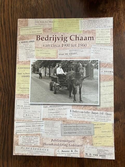 Bedrijvig Chaam 1900-1960, Boeken, Ophalen of Verzenden, Gelezen