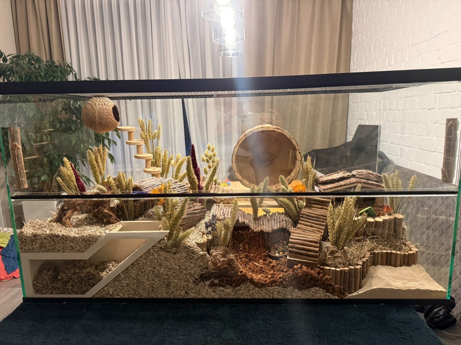 glas kooi, terrarium, Dieren en Toebehoren, Ophalen, Gebruikt, Overige typen