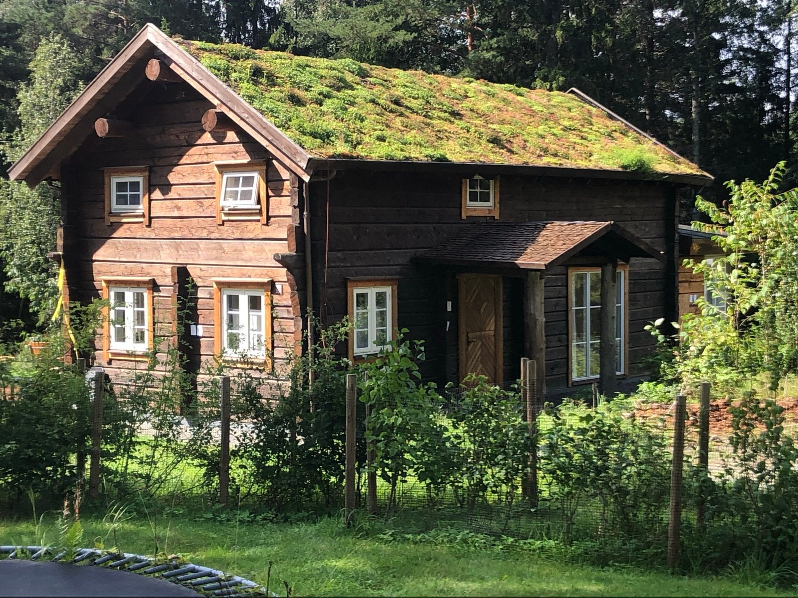 Zweeds droomhuis met boot en bb motor, Vakantie, 5 personen, In bos, 2 slaapkamers, Landelijk