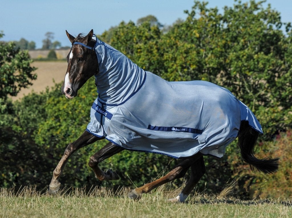 Bucas Buzz-Off Full Neck Vliegendeken, maat 195 en 215, Dieren en Toebehoren, Paarden en Pony's | Dekens en Dekjes, Bucas, Vliegendeken