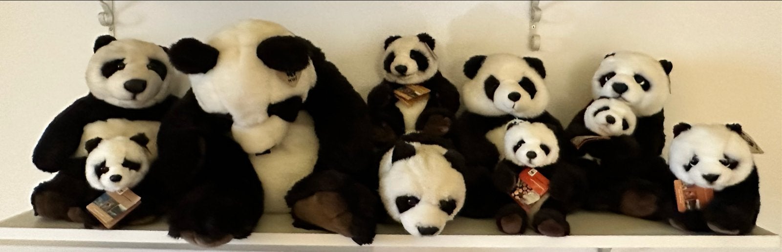 Grote collectie WNF panda knuffels, Ophalen, Gebruikt, Overige karakters, Overige typen