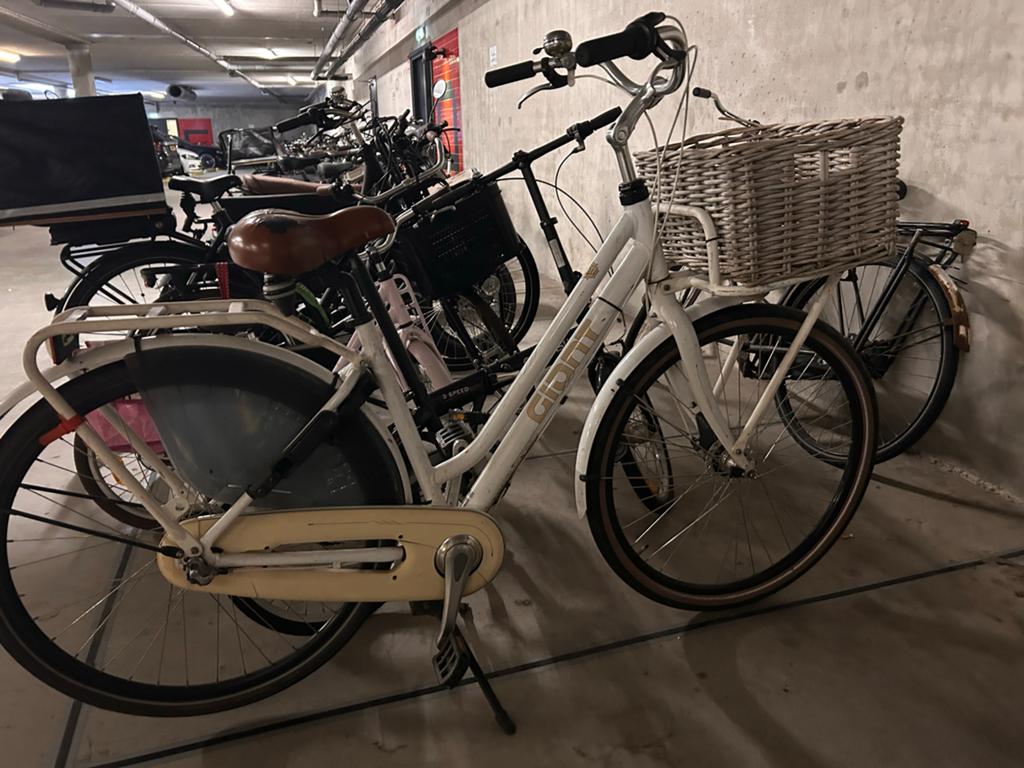 Giant moederfiets - Goede staat, inclusief mandje, Fietsen en Brommers, Ophalen, Gebruikt, Giant, 0 zitjes