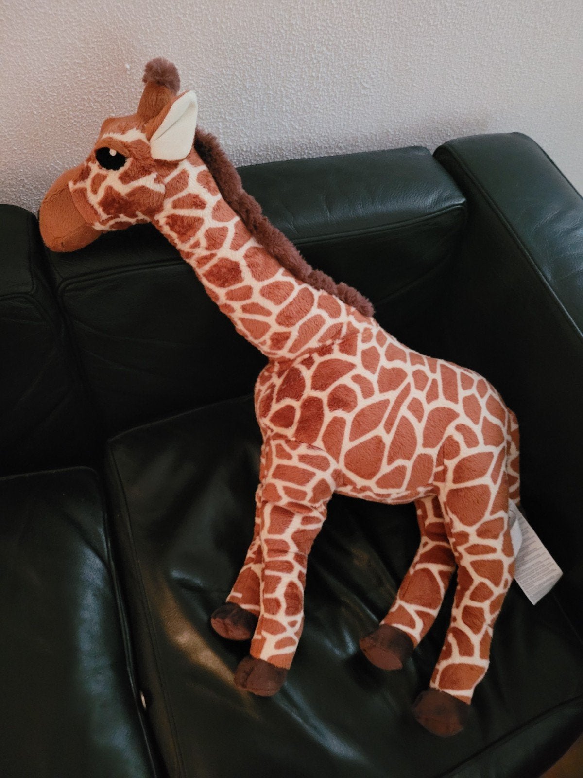 knuffel  giraf groot, Ophalen, Nieuw, Overige typen