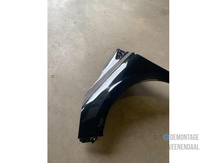Scherm links-voor van een Renault Clio (TEGNE), -, Renault, -, Nieuw