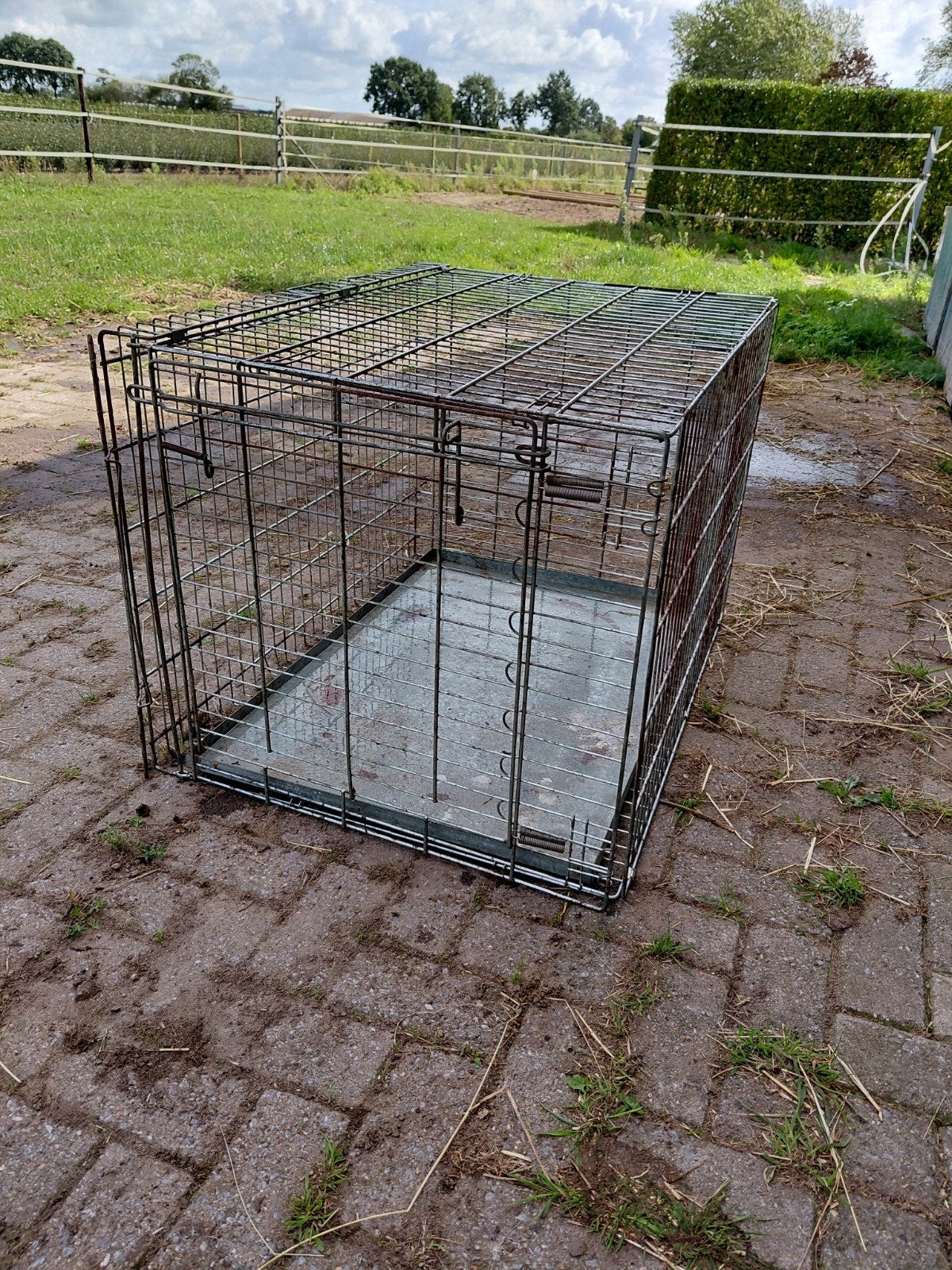 bench, Dieren en Toebehoren, Hondenbenches, Ophalen, Gebruikt