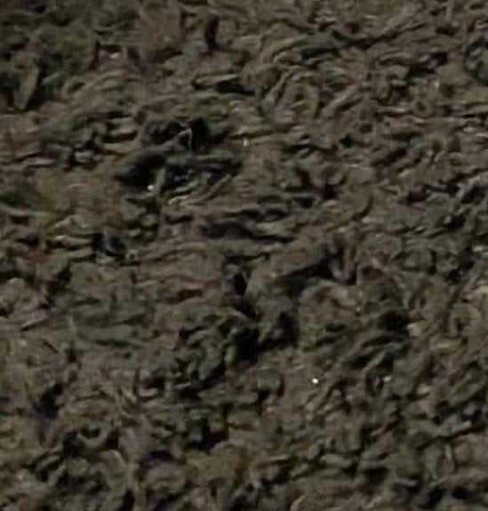 Twee vloerkleden: donkerbruin en donkergrijs, Huis en Inrichting, Gebruikt, Bruin, 200 cm of meer, Ophalen of Verzenden