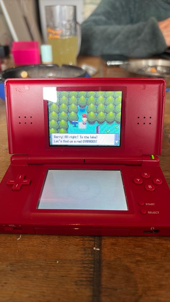 Nintendo DS lite, Spelcomputers en Games, Spelcomputers | Nintendo DS, Ophalen of Verzenden, Gebruikt, Rood, DS Lite