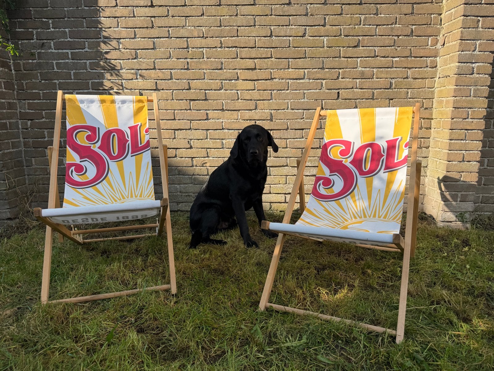 Sol Cerveza strandstoelen / ligstoelen - inklapbaar, Ophalen, Zo goed als nieuw, Hout, Inklapbaar