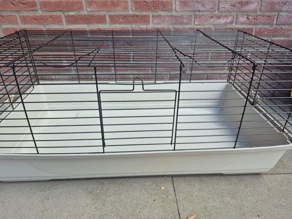 Dieren hok, Dieren en Toebehoren, Knaagdieren en Konijnen | Hokken en Kooien, Zo goed als nieuw, Hok, 75 tot 110 cm, Cavia