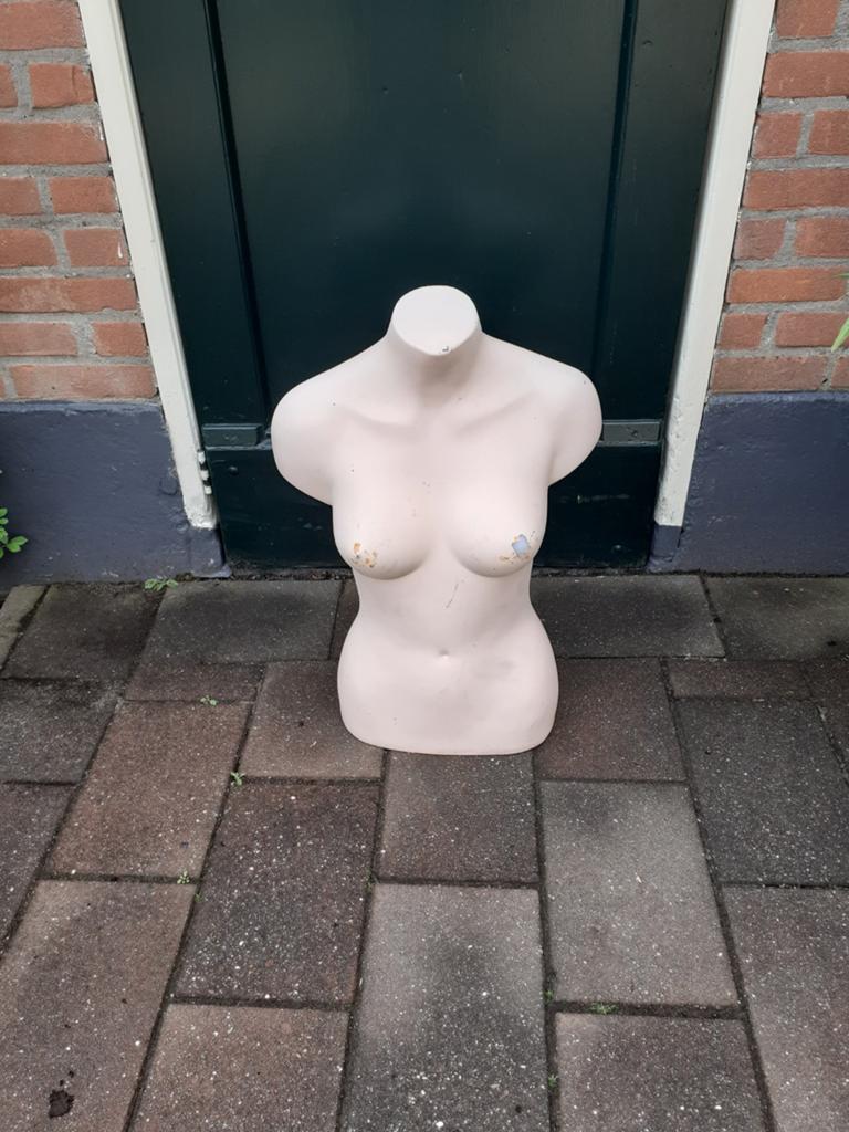 Bovenlichaam paspop - Etalagepop torso, Ophalen